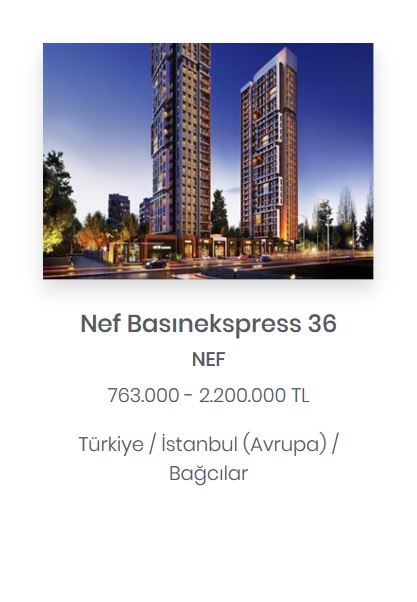 nef-basinekspress36